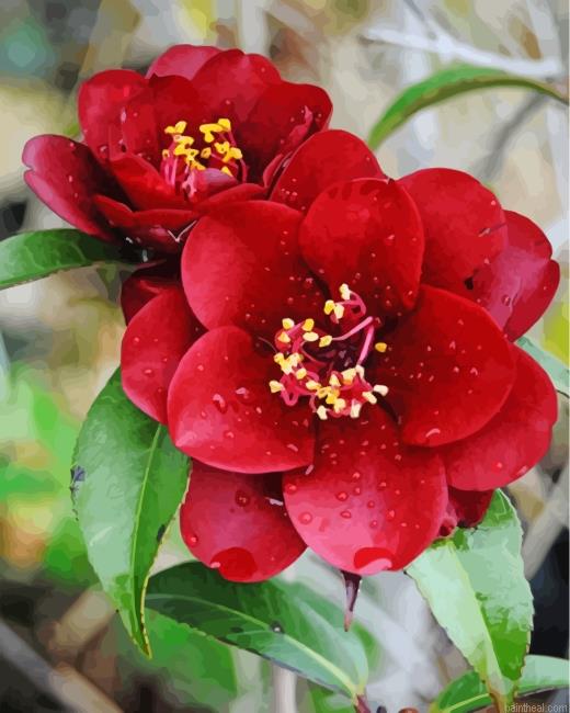 Aesthetic red camellia painting by numbers.jpeg