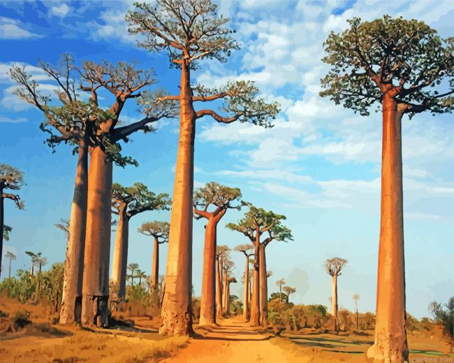 Alley of the baobabs painting by numbers.jpeg