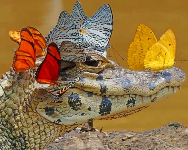 Alligator with butterflies painting by numbers.jpeg
