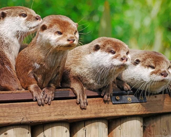 Angry otters painting by numbers.jpeg