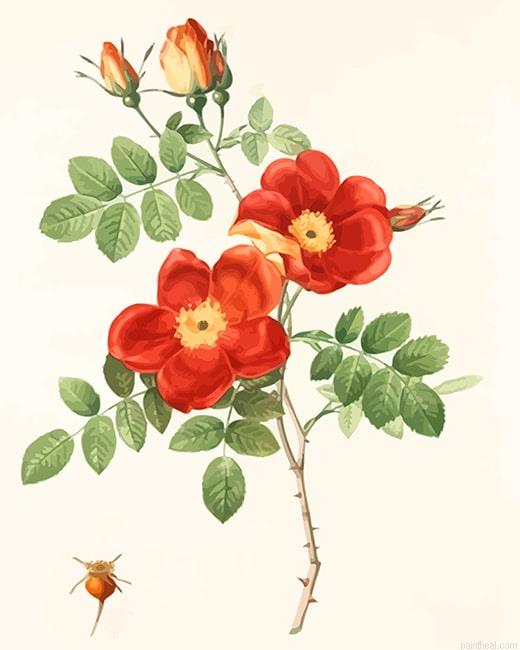 Austrian briar painting by numbers.jpeg