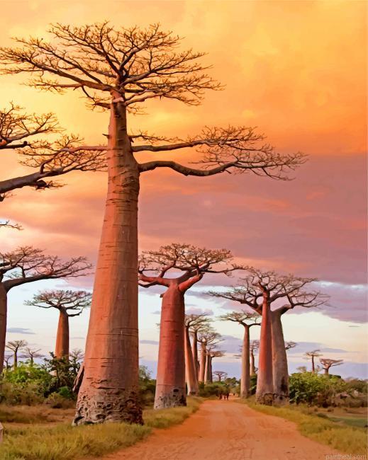 Avenue of the baobabs painting by numbers.jpeg