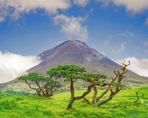 Azores island painting by numbers.jpeg