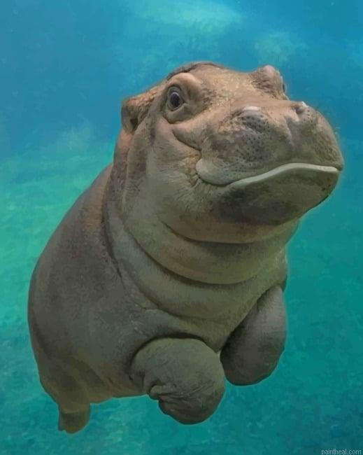 Baby hippopotamus painting by numbers.jpeg