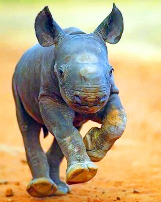 Baby rhinoceros painting by numbers.jpeg