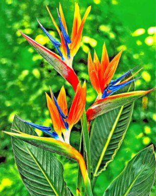 Bird of paradise painting by numbers.jpeg