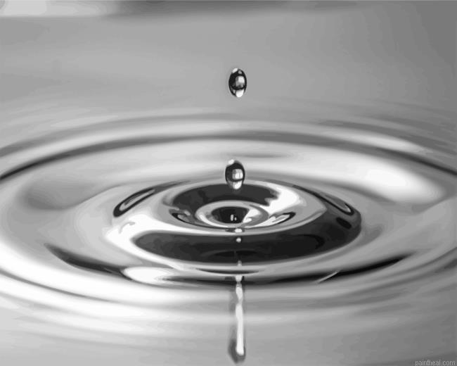 Black and white water drop painting by numbers.jpeg