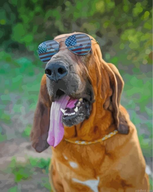 Bloodhound with sunglasses painting by numbers.jpeg