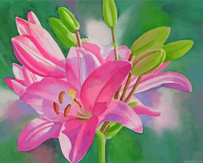 Blooming pink lilies painting by numbers.jpeg