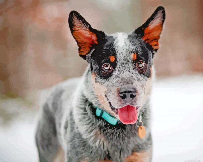 Blue heeler painting by numbers.jpeg