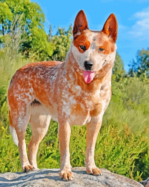 Blue heeler puppy painting by numbers.jpeg