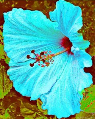 Blue hibiscus flower painting by numbers.jpeg