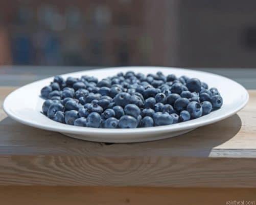 Blueberry plate on patio painting by numbers.jpeg