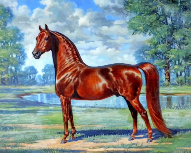 Brown horse painting by numbers.jpeg