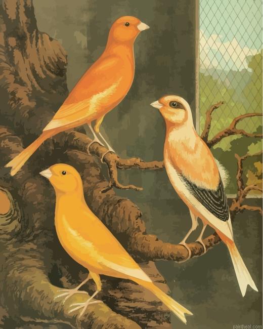 Canary birds painting by numbers.jpeg
