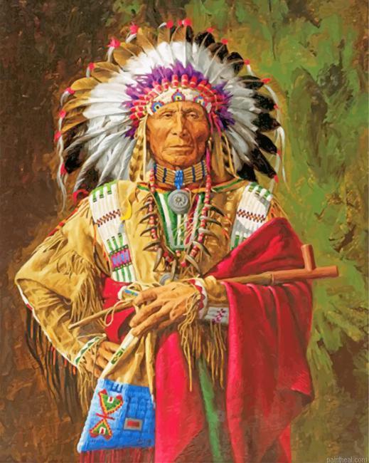 Cherokee chief native american painting by numbers.jpeg