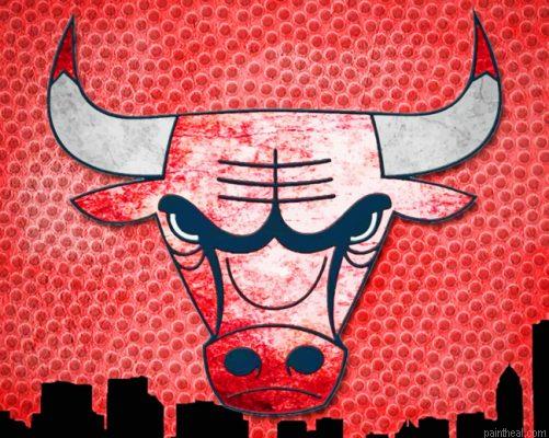 Chicago bulls logo painting by numbers.jpeg
