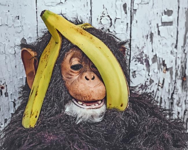 Chimpanzee with banana painting by numbers.jpeg