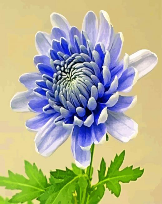 Chrysanthemum flower painting by numbers.jpeg