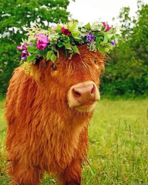Cow wearing flower crown painting by numbers.jpeg