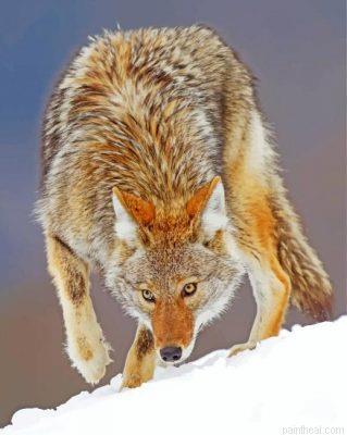 Coyote animal painting by numbers.jpeg