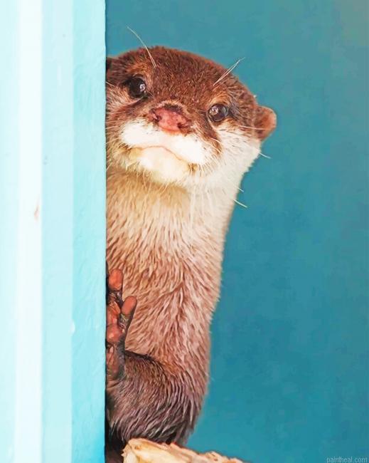 Cute baby otter painting by numbers.jpeg