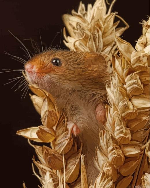 Cute hamster painting by numbers.jpeg