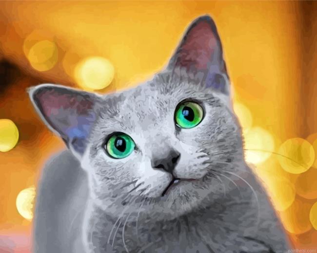 Cute russian blue cat painting by numbers.jpeg