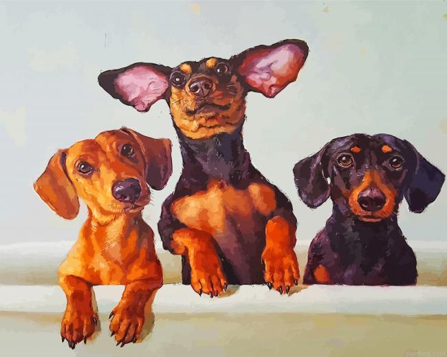 Dachshunds dogs painting by numbers.jpeg