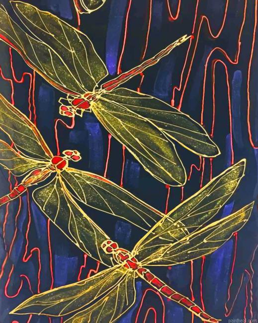 Dragonflies painting by numbers.jpeg