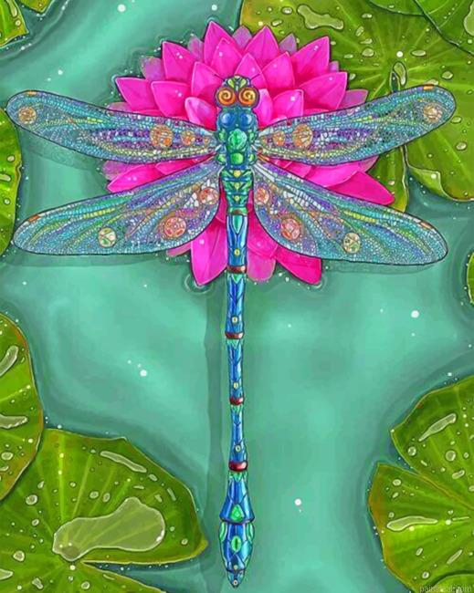 Dragonfly illustration painting by numbers.jpeg