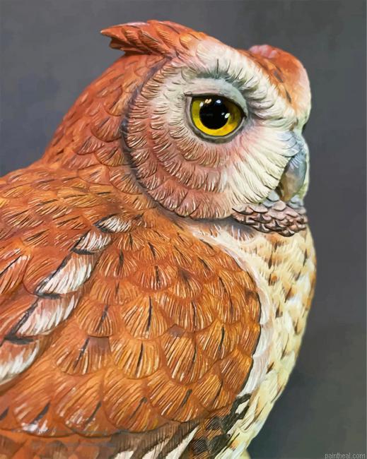 Eastern screech owl painting by numbers.jpeg