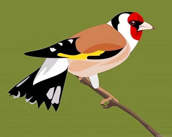 European goldfinch painting by numbers.jpeg