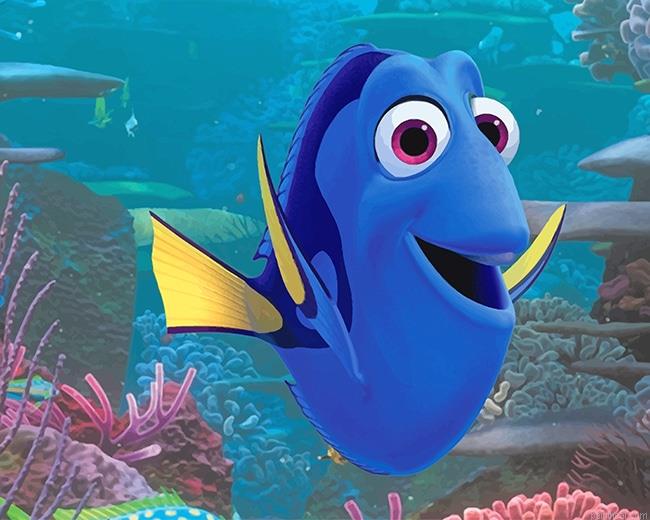 Finding dory painting by numbers.jpeg