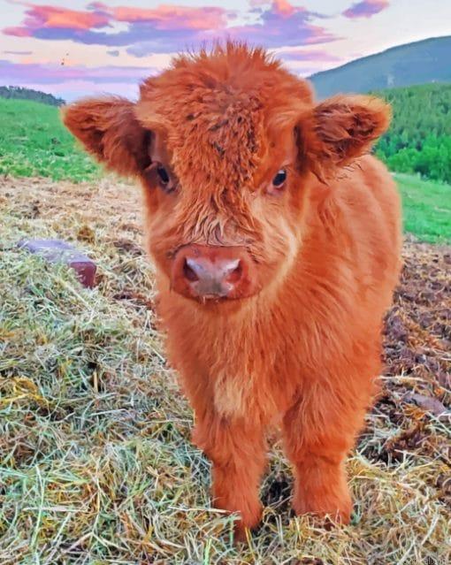 Fluffy highland cow painting by numbers.jpeg