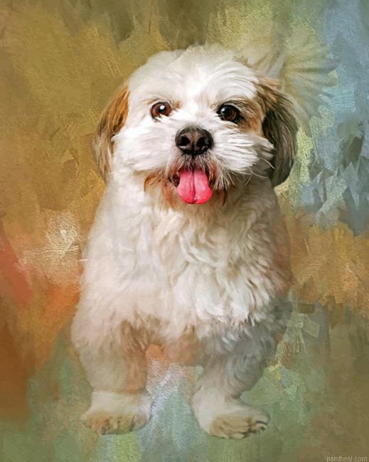 Fluffy shih tzu painting by numbers.jpeg