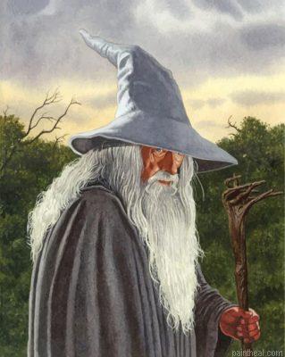 Gandalf lord of the rings painting by numbers.jpeg