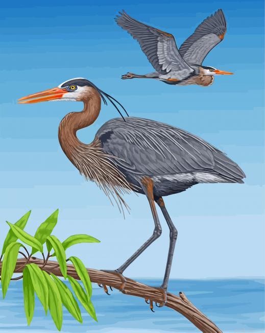 Great blue heron birds painting by numbers.jpeg
