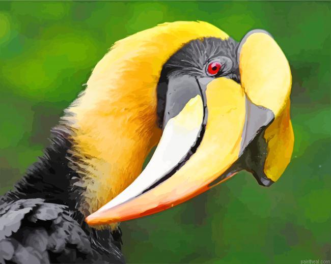 Great hornbill painting by numbers.jpeg