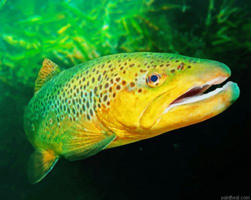 Green trout painting by numbers.jpeg