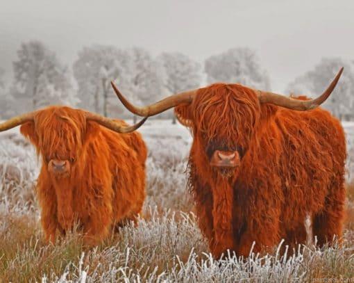 Highland cows in the snow painting by numbers.jpeg