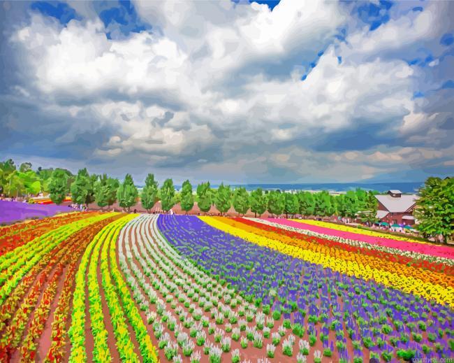 Hokkaido farm tomita painting by numbers.jpeg