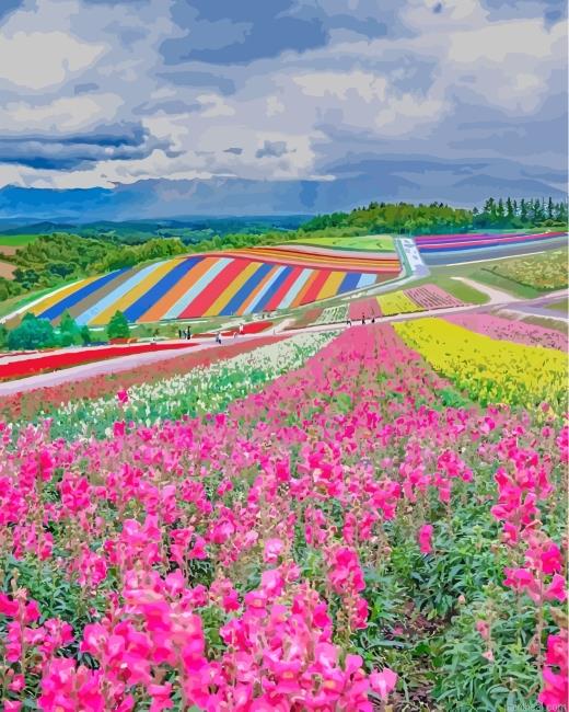 Hokkaido japan painting by numbers.jpeg