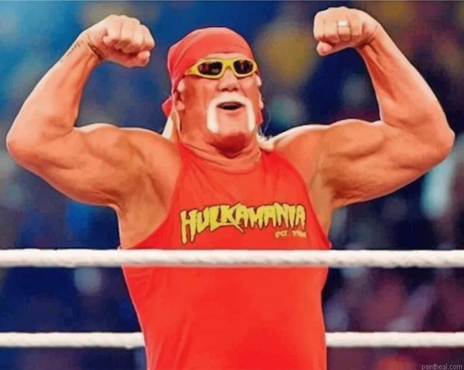 Hulk hogan painting by numbers.jpeg