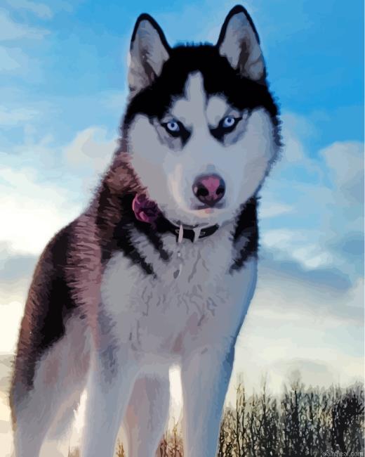 Husky in snow painting by numbers.jpeg