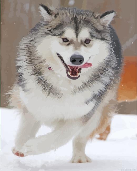 Husky snow painting by numbers.jpeg