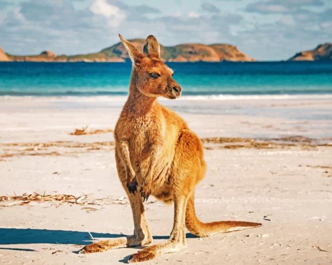 Kangaroo in an australian beach painting by numbers.jpeg