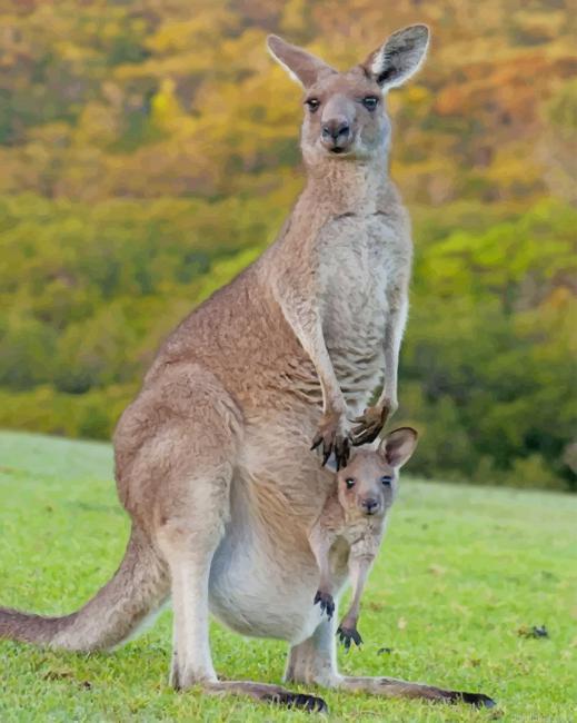 Kangaroos in forest painting by numbers.jpeg
