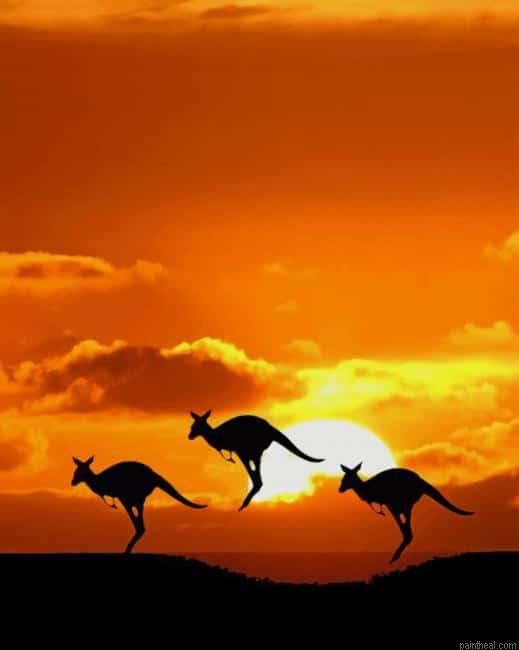 Kangaroos silhouette painting by numbers.jpeg