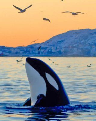 Killer whale in the ocean painting by numbers.jpeg